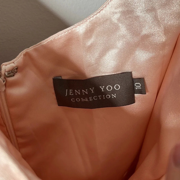 Jenny Yoo Collection Pink Blush Fit & Flare Sleeveless Dress - Picture 4 of 8